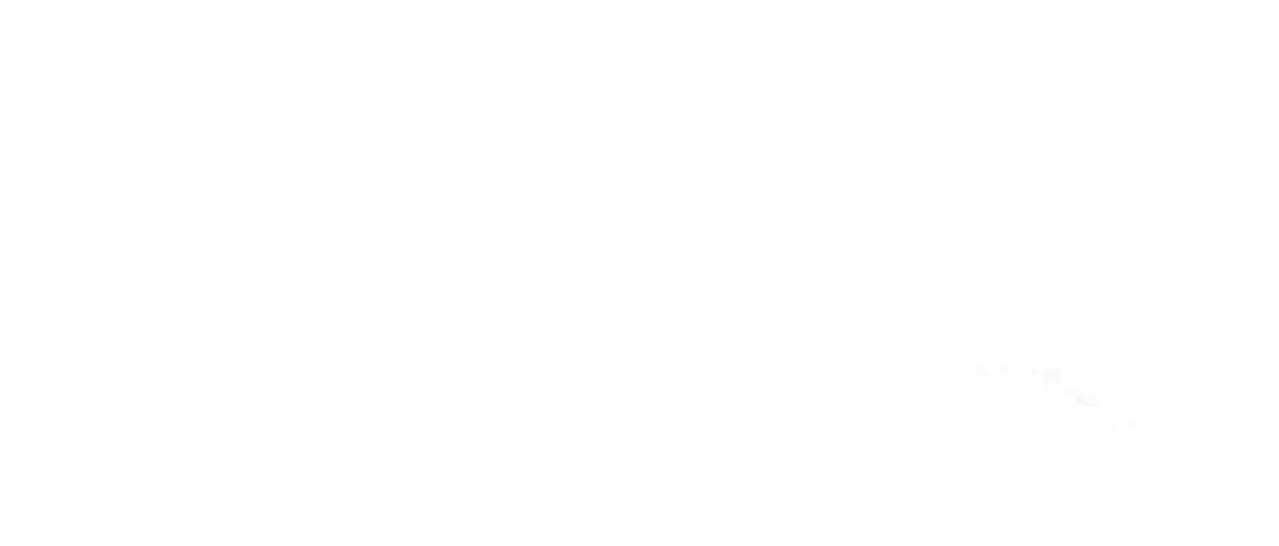 Chandy's Group of Companies