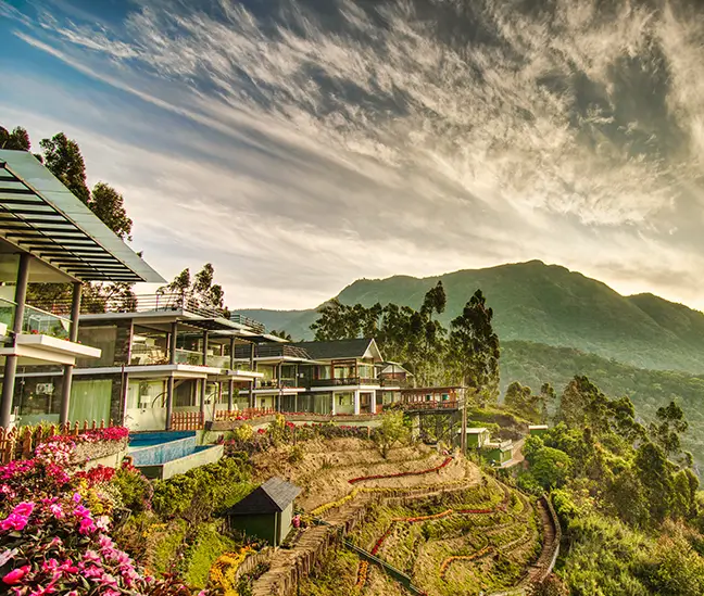 Chandy's Group of Companies