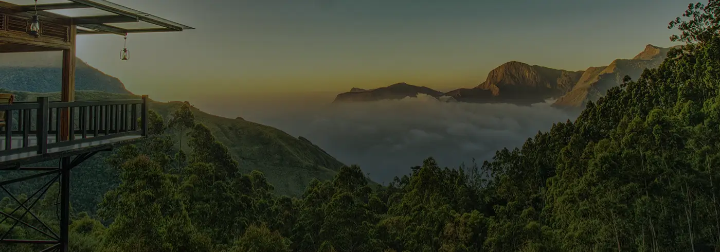 Chandy's Group of Companies